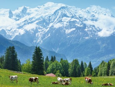 Mont Blanc Massiv © wildman-fotolia.com